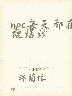 npc每天都在被爆炒