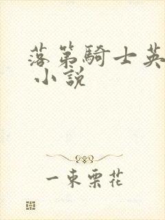 落第骑士英雄谭 小说