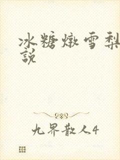 冰糖炖雪梨 小说