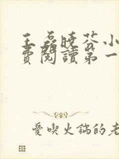 王磊晓芬小说免费阅读第一章