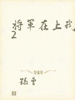 将军在上我在下2