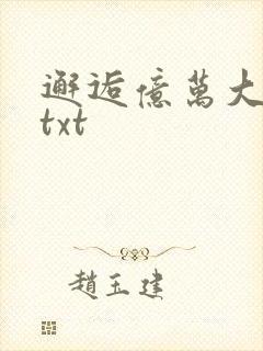 邂逅亿万大人物txt