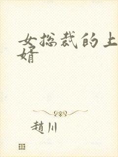 女总裁的上门女婿