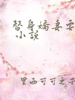替身娇妻要离婚 小说