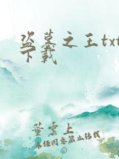 盗墓之王txt下载