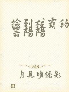 捡到校霸的遥控器阳阳