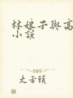 林娘子与高衙内小说