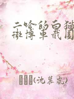 二哈的白猫师尊微博车截图