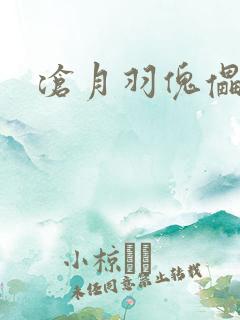 沧月羽傀儡之城