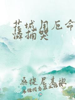 花城用厄命把谢怜捅哭