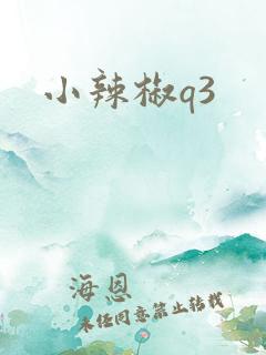 小辣椒q3