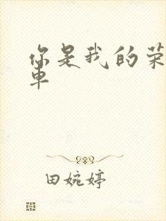 你是我的荣耀肉车