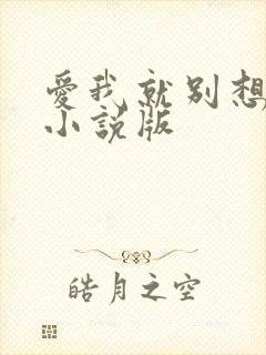 爱我就别想太多小说版