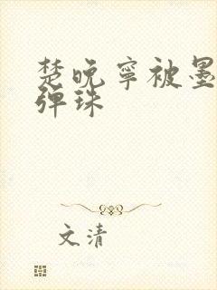 楚晚宁被墨燃塞弹珠