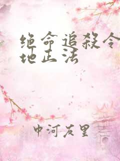 绝命追杀令2就地正法