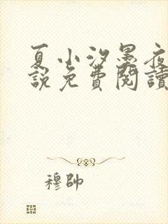 夏小汐墨夜霆小说免费阅读