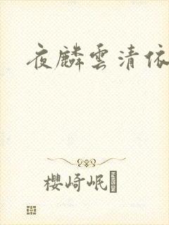 夜麟云清依小说