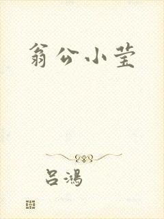 翁公小莹