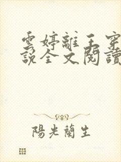 云婷离王穿越小说全文阅读