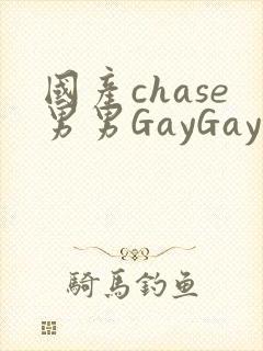 国产chase男男GayGay