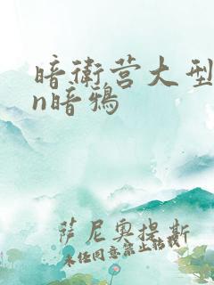 暗卫营大型hpn暗鸦