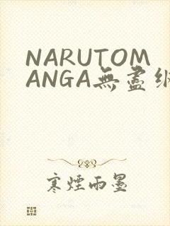 NARUTOMANGA无尽纲手