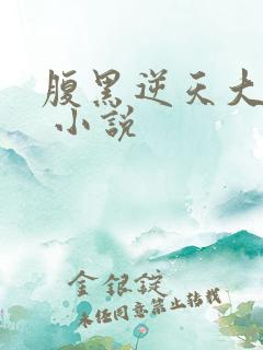 腹黑逆天大小姐 小说