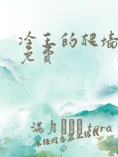 冷王的爬墙丑妃免费