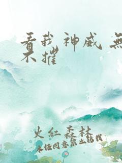 看我神威 无坚不摧