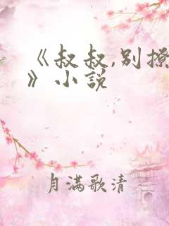 《叔叔,别撩我》小说