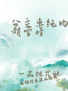 公交车纯肉超H赵雪晴