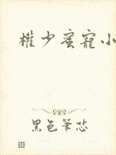 权少蜜宠小娇妻