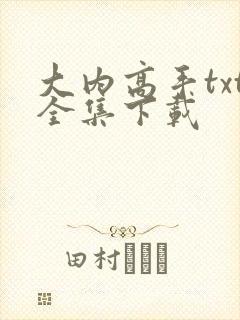 大内高手txt全集下载