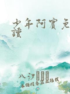 少年阿宾免费阅读
