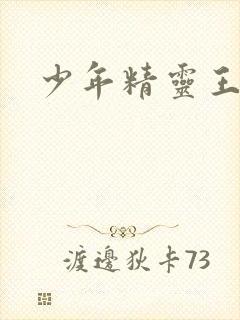 少年精灵王