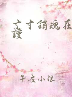 寸寸销魂在线阅读