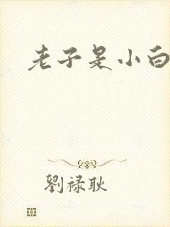 老子是小白脸