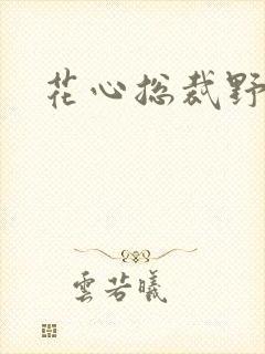 花心总裁野蛮妻