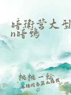 暗卫营大型hpn暗鸦