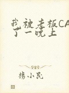 我被老板CAO了一晚上