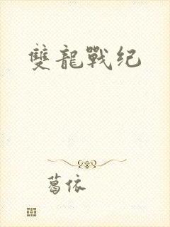双龙战纪