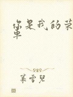 你是我的荣耀肉车