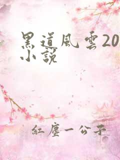 黑道风云20年小说