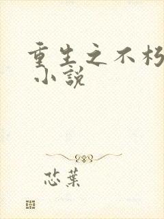 重生之不朽传奇 小说