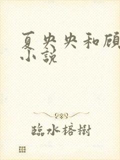 夏央央和顾祁琛小说