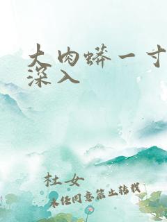 大肉蟒一寸寸地深入