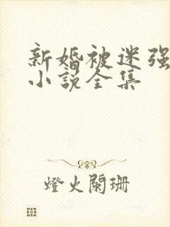 新婚被迷强系列小说全集