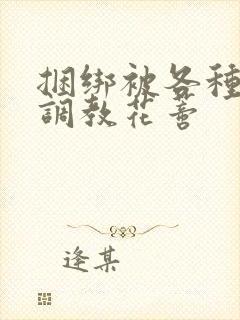 捆绑被各种工具调教花蒂