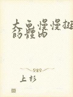 大龟慢慢挺进我的体内