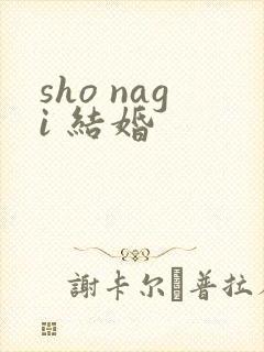 sho nagi 结婚